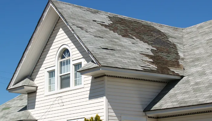 Roofing & Exterior Repair in 
