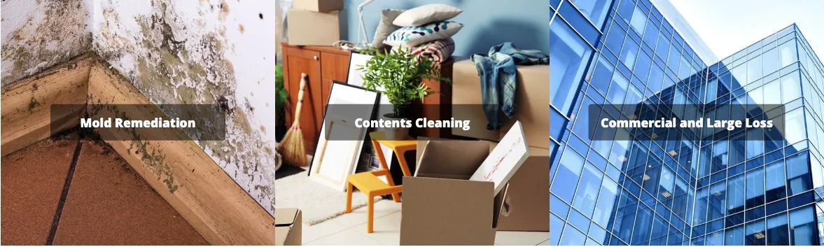 Best Option Restoration Services