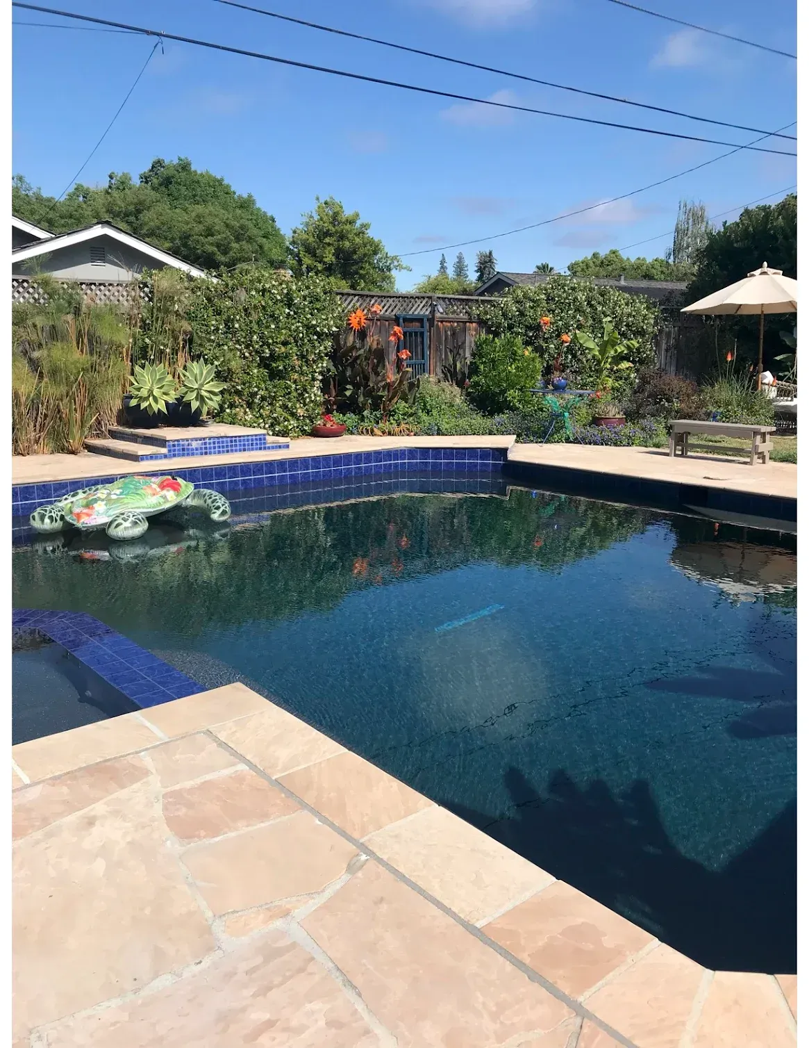 Pool Contractor in Alameda County, Santa Clara