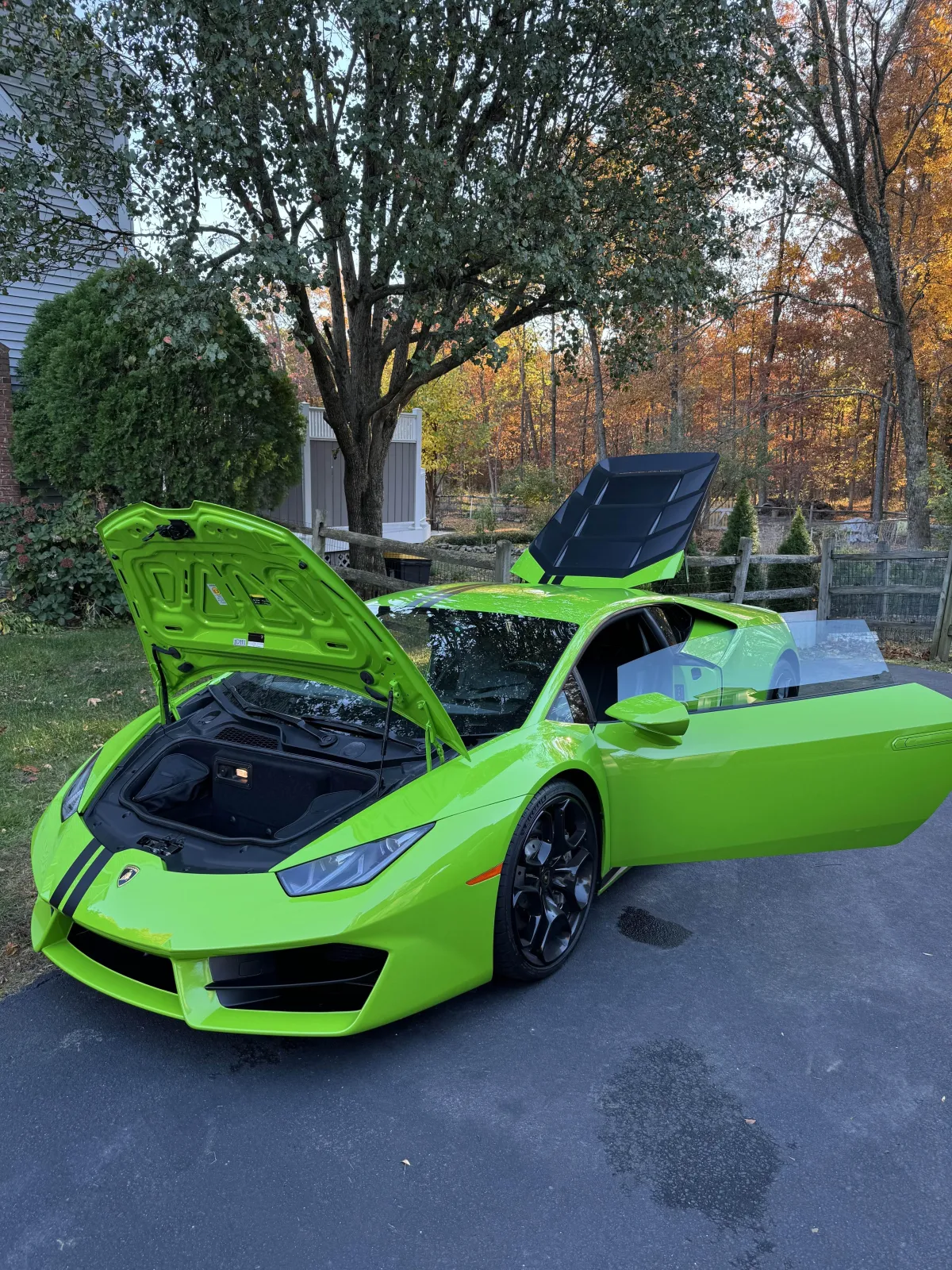 washed green Lamborghini
