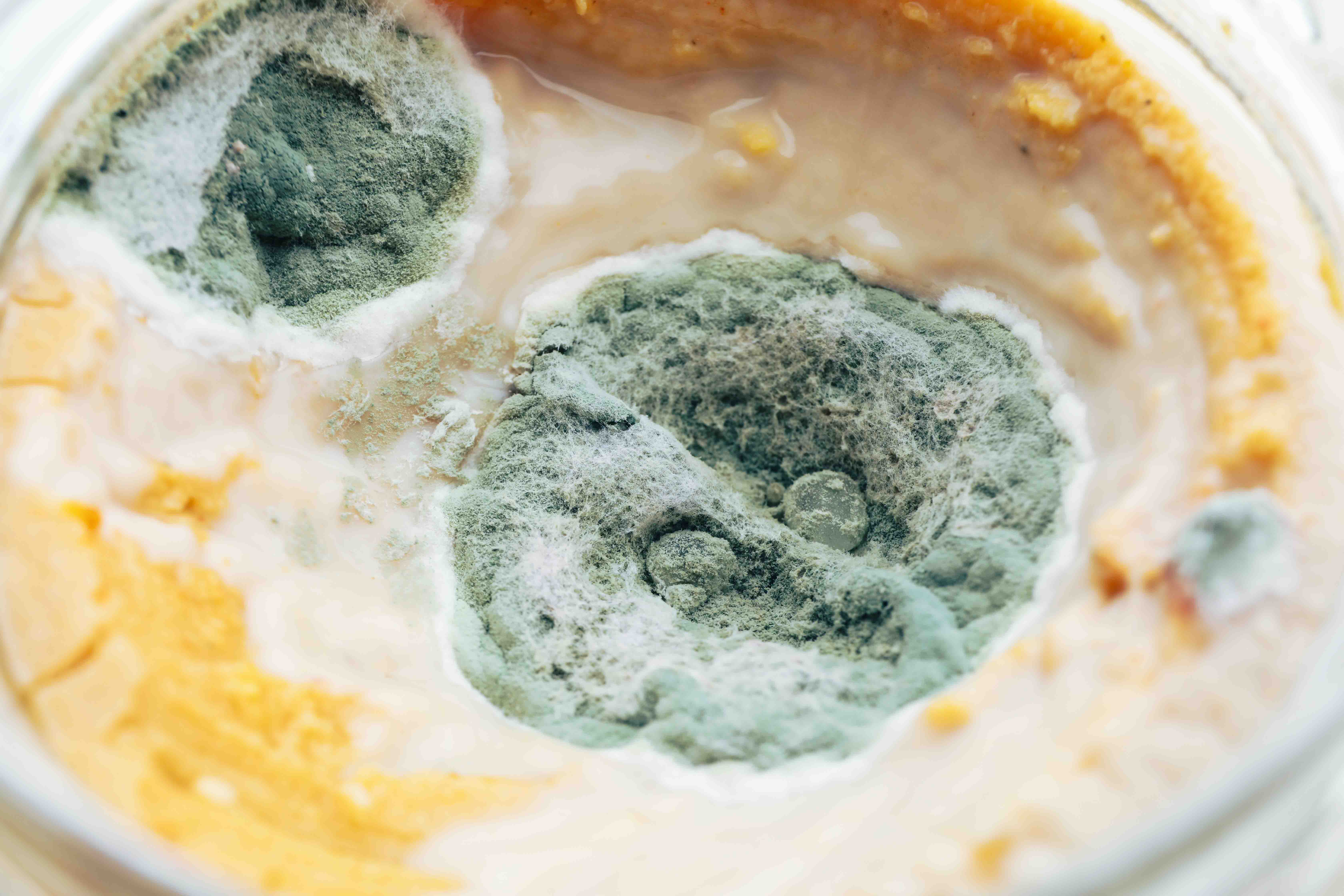 Mold exposure