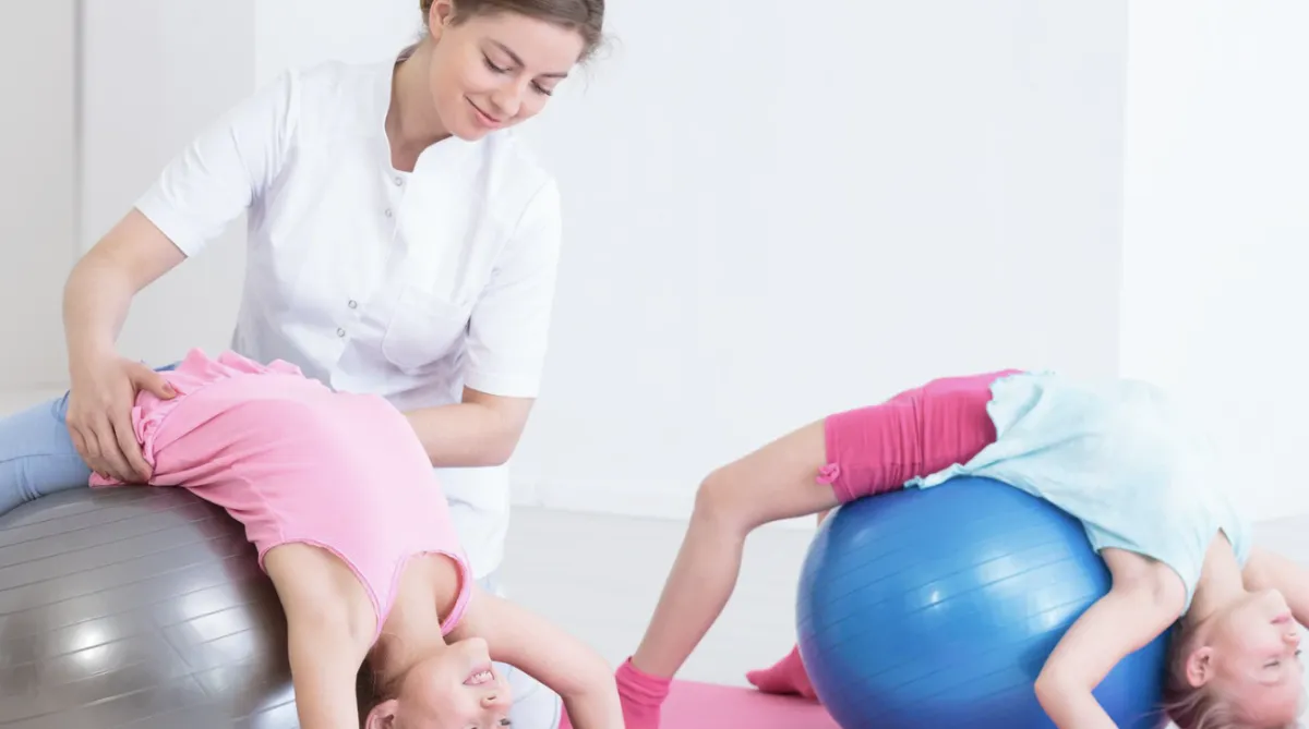 black hammock under green trees