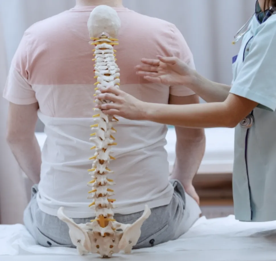 animal bone photography