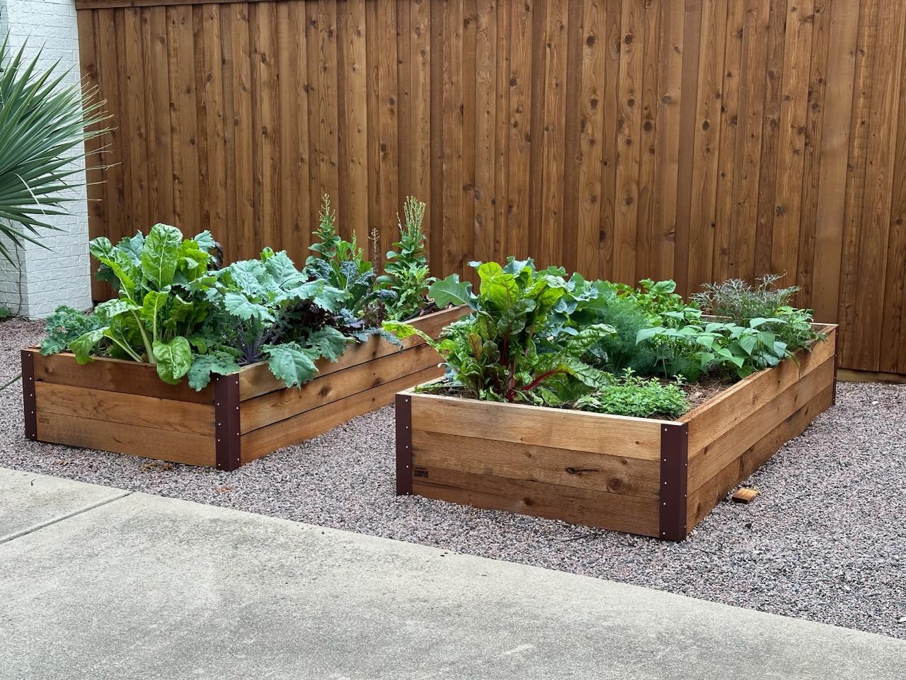 Best Sunlight for your Garden