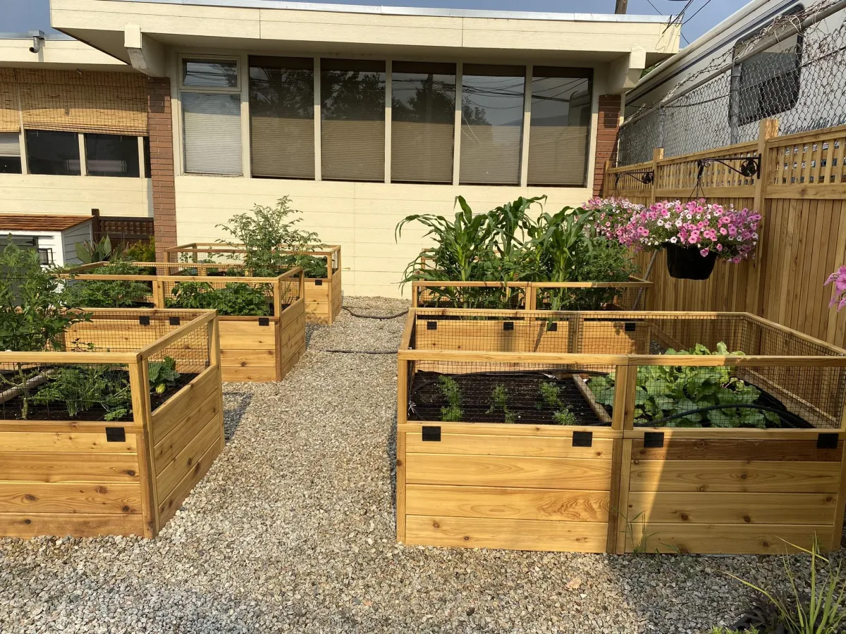 Urban Cedar 4x1.5 raised garden bed for patios