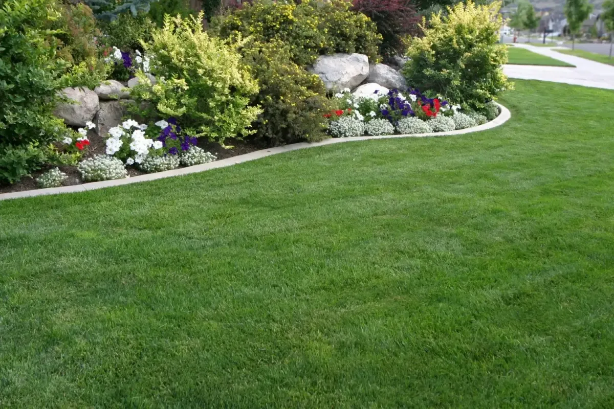 Flowers and plantings on top of a retaining wall