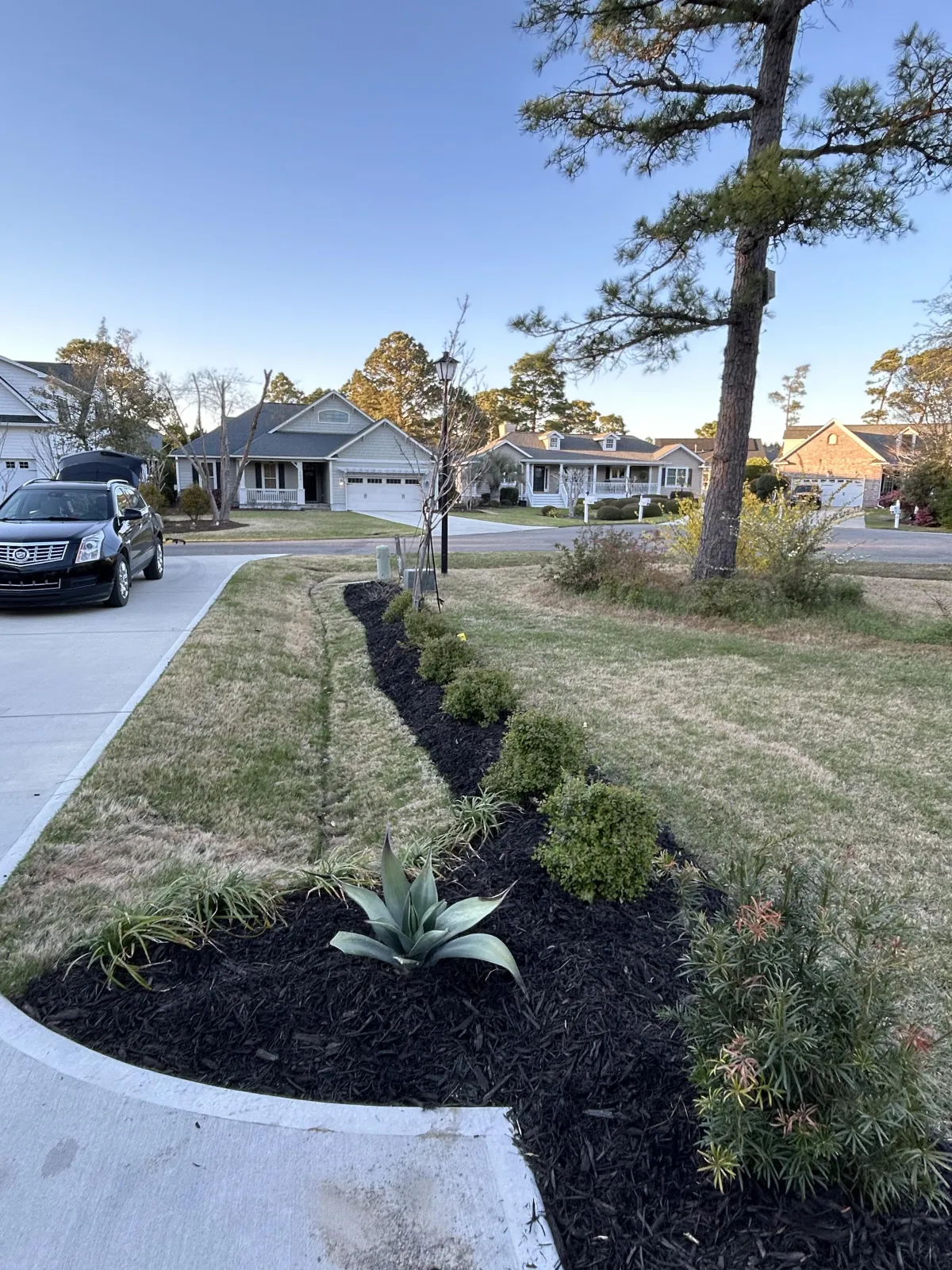 NextGen Landscaping delivers Yard Maintanceare