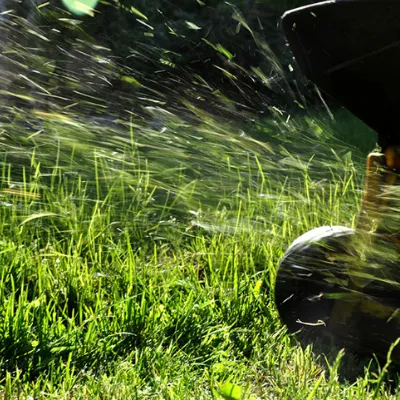 Blowing Clippings and Debris