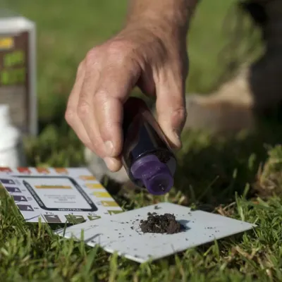 Lawn Health Check