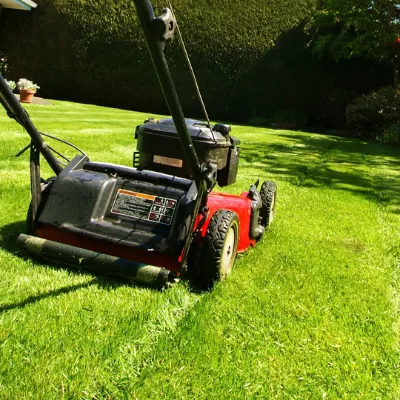 Grass Cutting