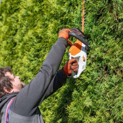 Trimming for Plant Health