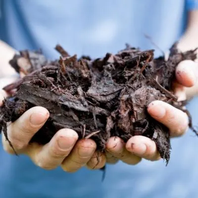 Mulch Type Selection Guidance