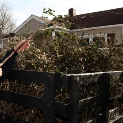 Yard Waste Collection
