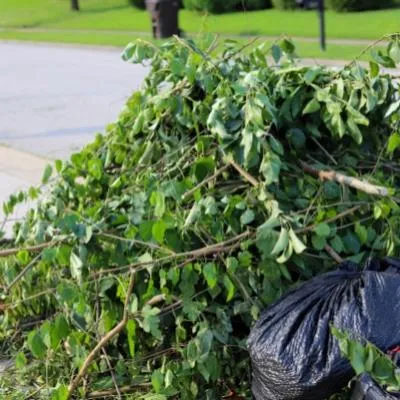 Safe Disposal or Recycling
