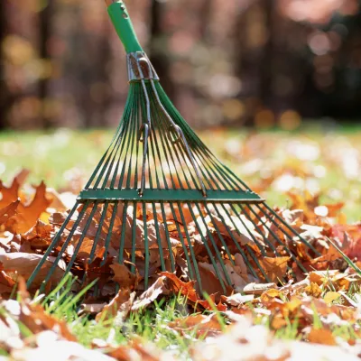 Surface Raking and Smoothing