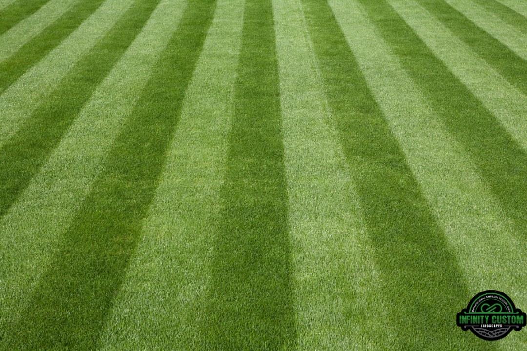 Image of Lawn Care & Grass Cutting | Infinity Custom Landscapes