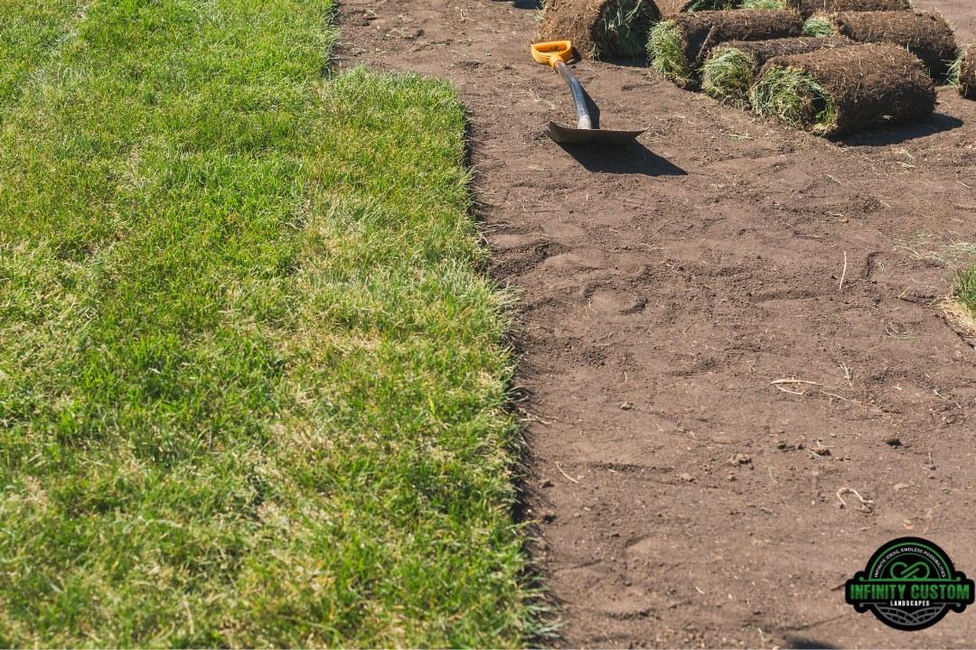 Image of SOD Installation & Yard Regrading | Infinity Custom Landscapes