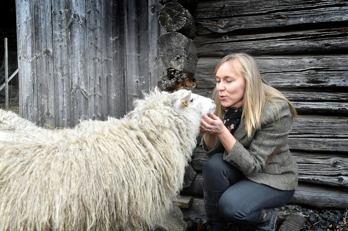 Anne Bland with her sheep