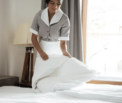 home cleaning services