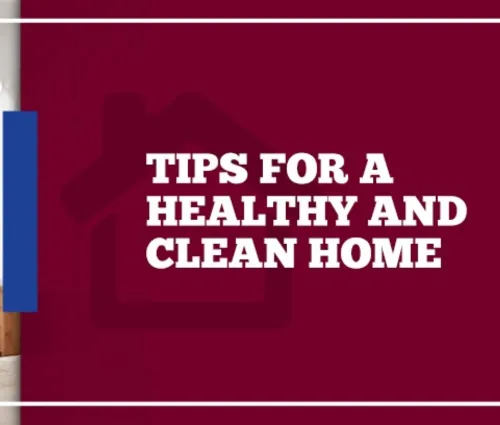 house cleaners