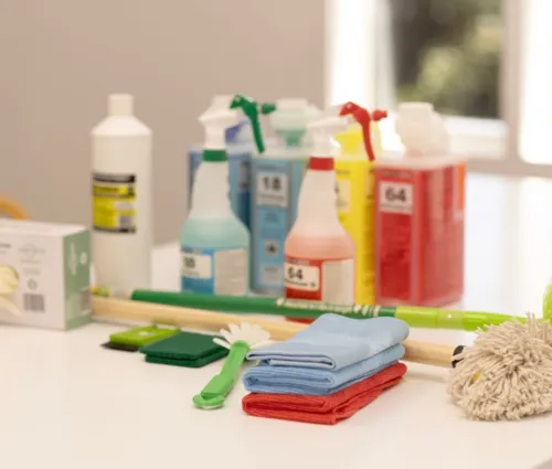 professional cleaning maids
