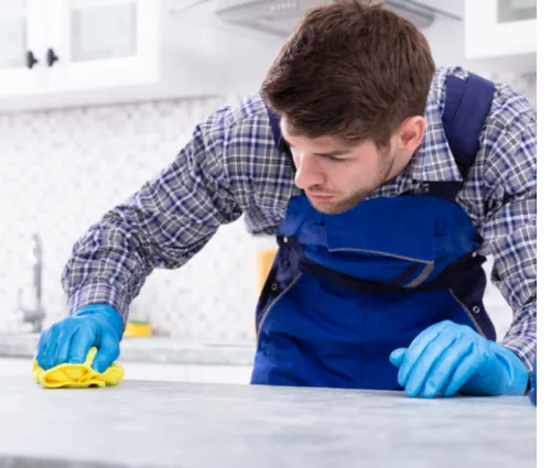 maid services