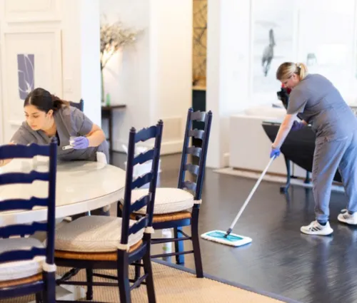 house cleaning in Nestor