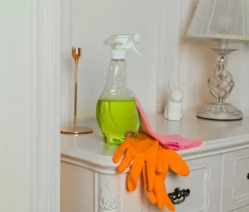 House Cleaning San Diego