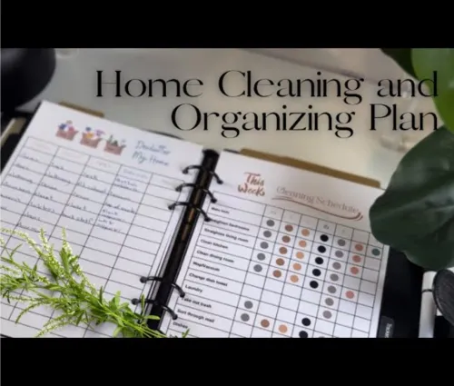 house cleaning in Nestor