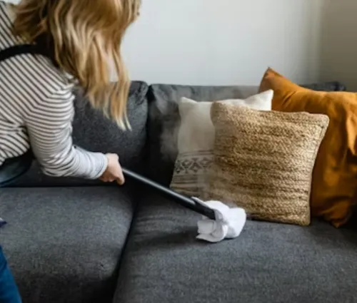 house cleaning in Otay Mesa