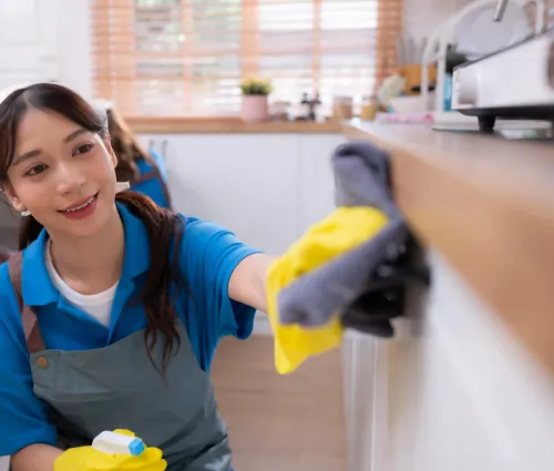 house cleaning in Otay Mesa
