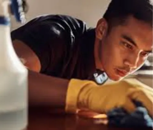 eco-friendly cleaning tips