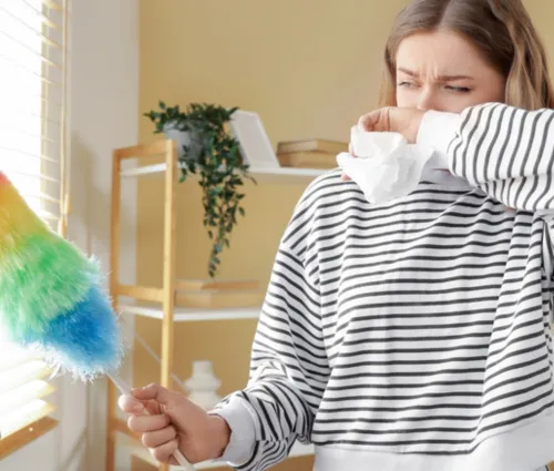 seasonal home cleaning guide