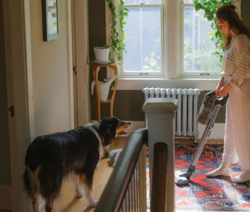 how often schedule professional cleaning