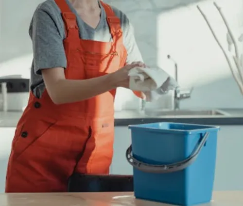 house cleaning in Sunset Cliffs