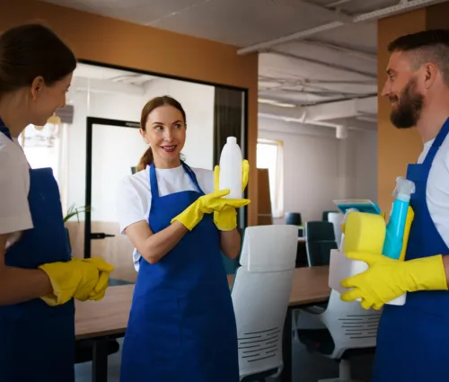 house cleaning in Sunset Cliffs