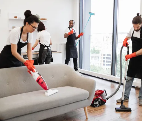 house cleaning in Eastlake
