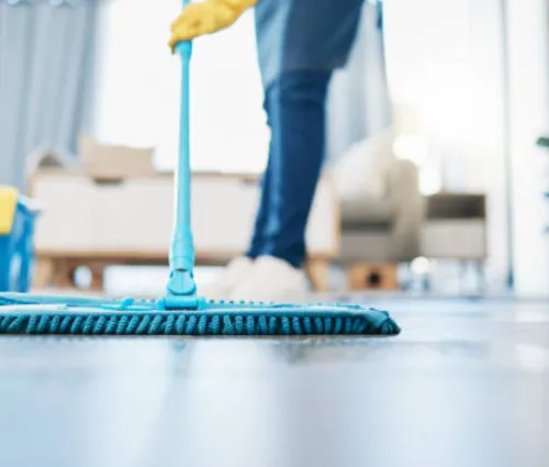 house cleaning in Eastlake