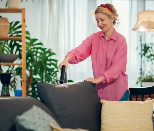 house cleaning in Bonita