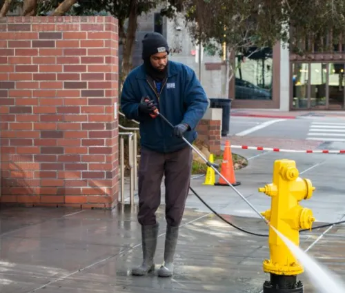 house cleaning in Eastlake