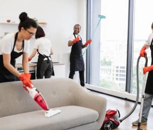 home cleaning north park