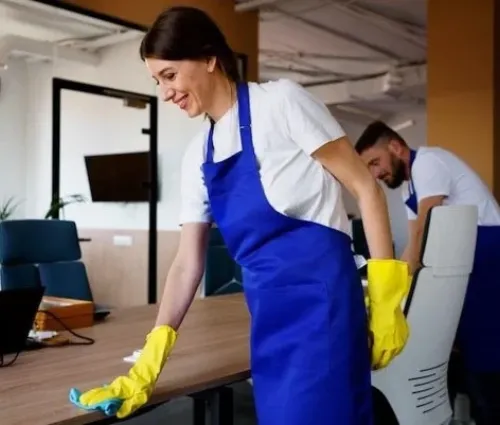 home cleaning north park