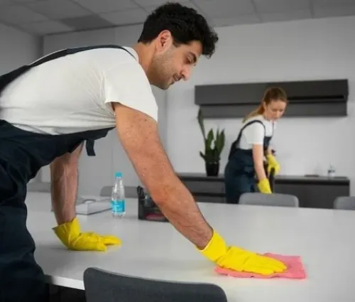 home cleaning north park