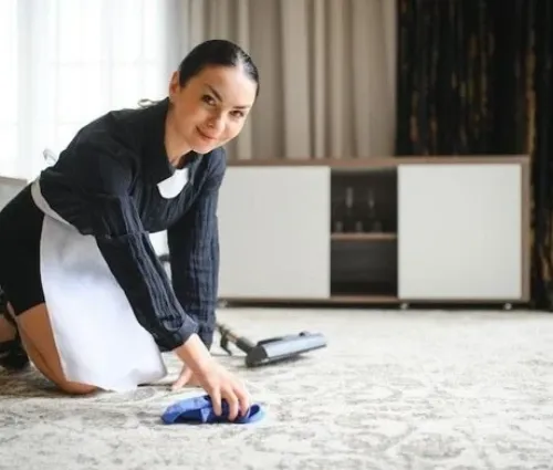 Carpet Ceaning Tips