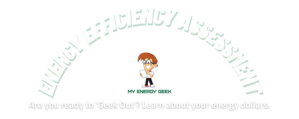 Energy Efficiency Assessment