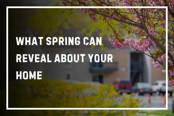 What Spring Can Reveal About Your Home