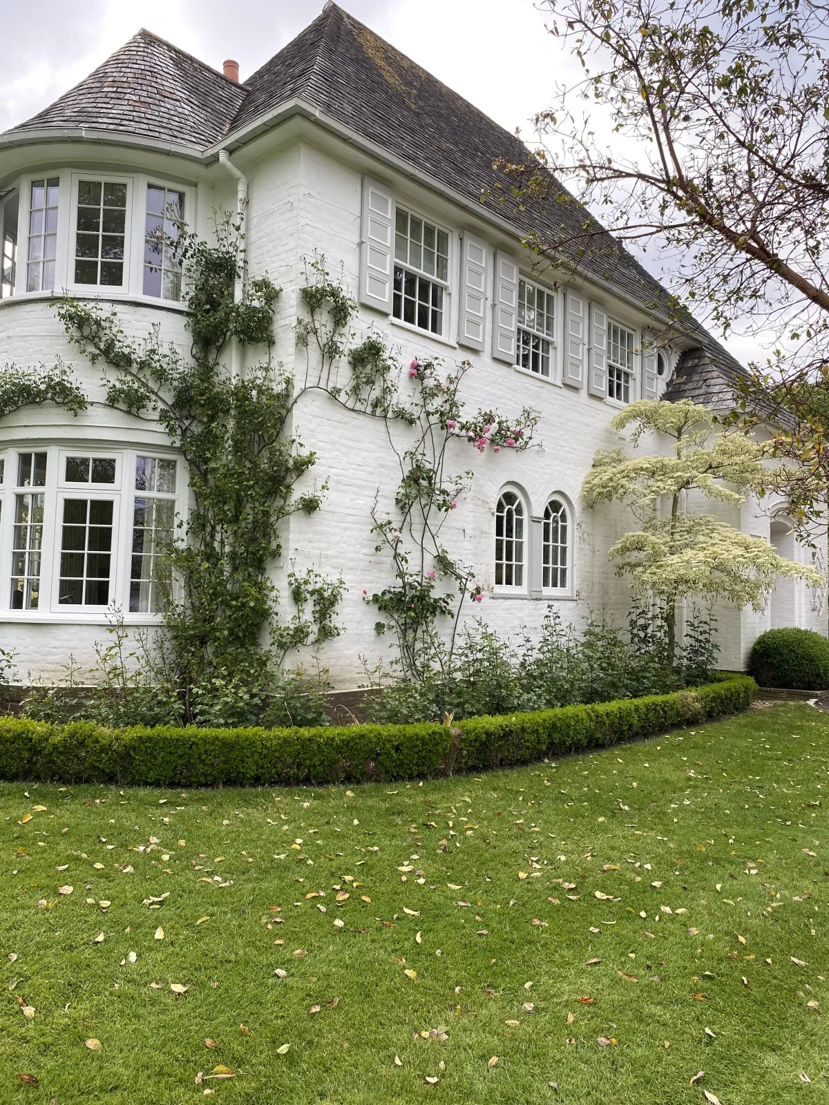 Exterior Wall Coatings Devon