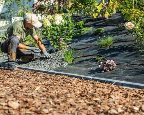 Bundoora Landscape Maintenance
