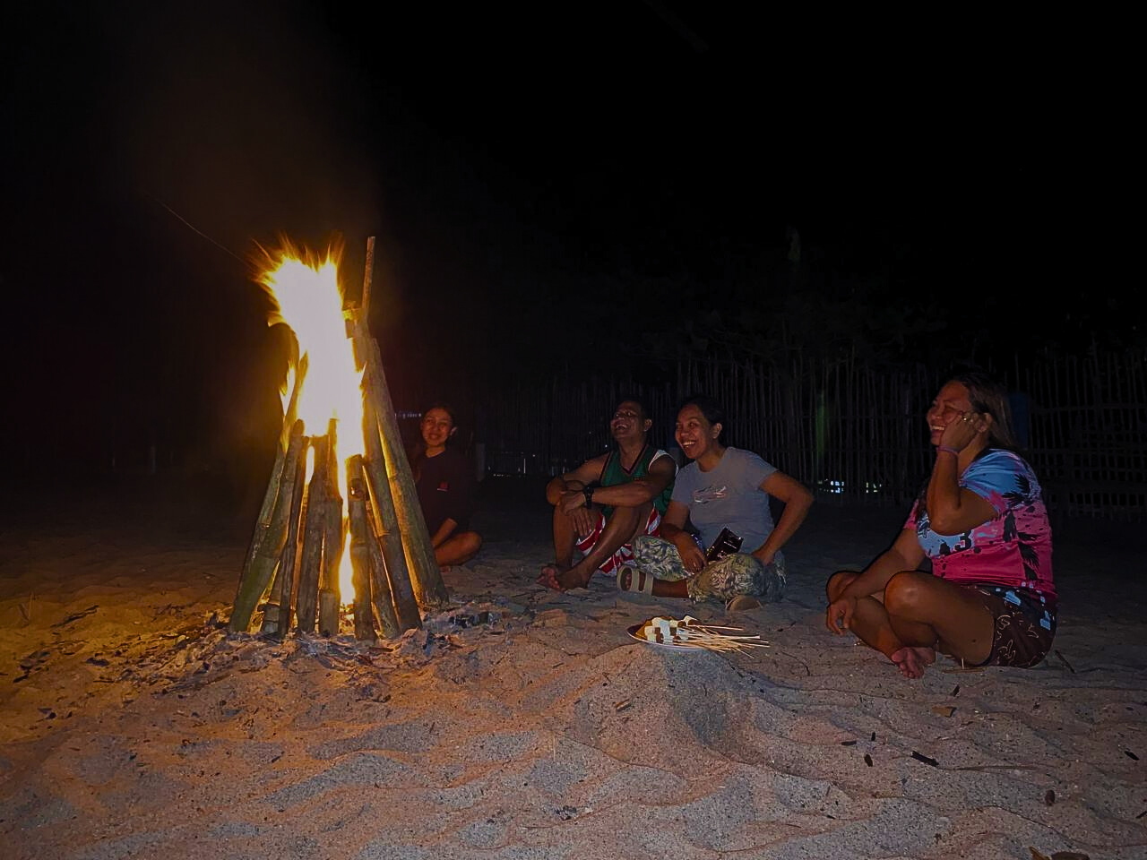 seashore during golden hour
