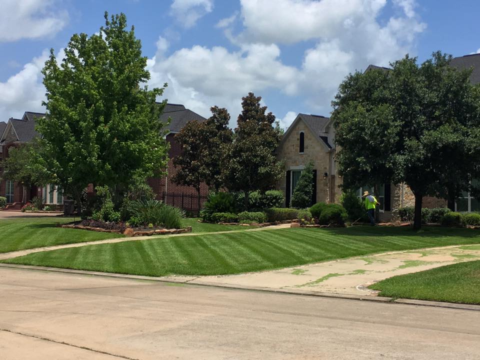 Professional lawn mowing and precision edging for a large residential property in Northwest Houston.